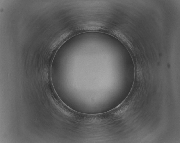 X0000073970533200608281216