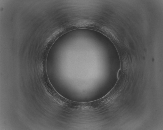 X0000073970539200608281216