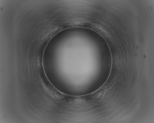X0000073970546200608281216