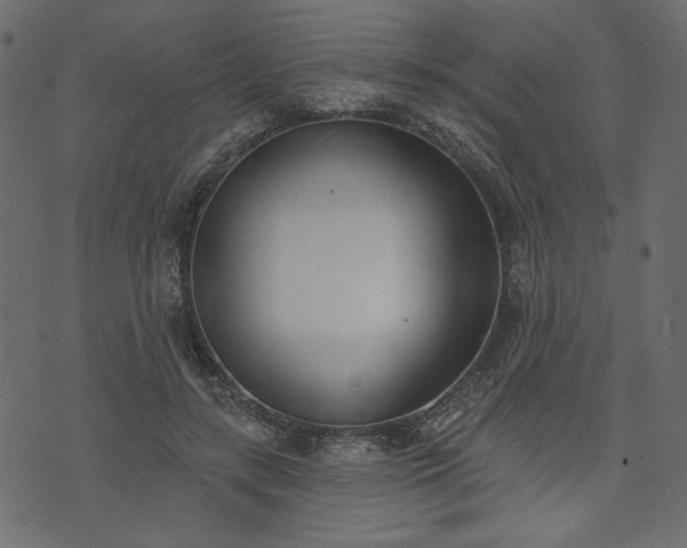 X0000073970547200608281216