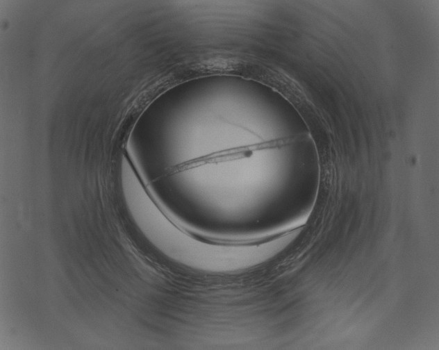 X0000073970552200608281216