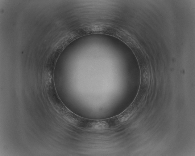 X0000073970555200608281216