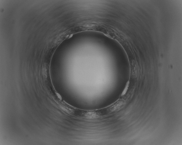 X0000073970562200608281216