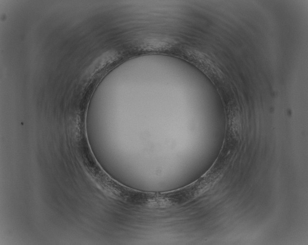 X0000073970591200608281215