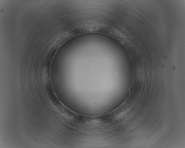 X0000073970594200608281215