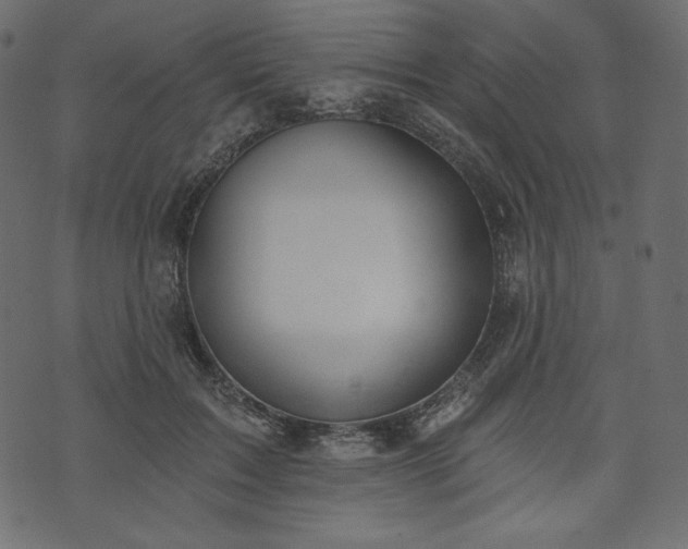 X0000073970603200608281215