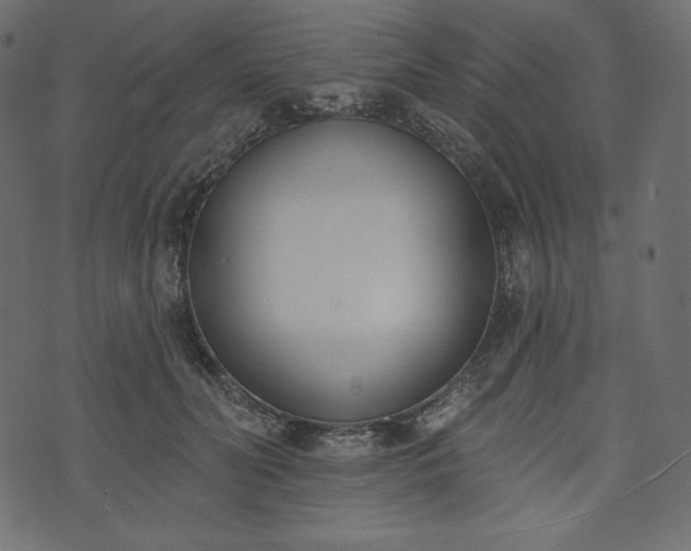 X0000073970606200608281215