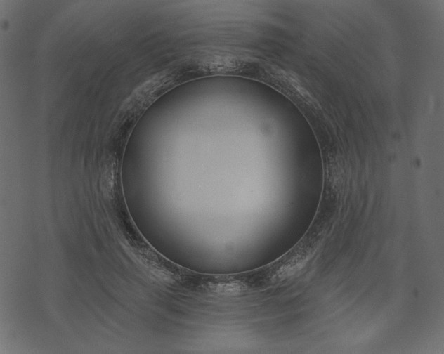 X0000073970645200608281214