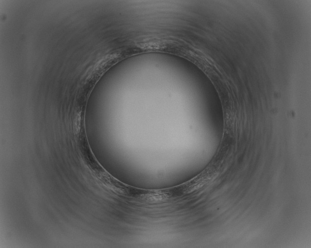 X0000073970652200608281214
