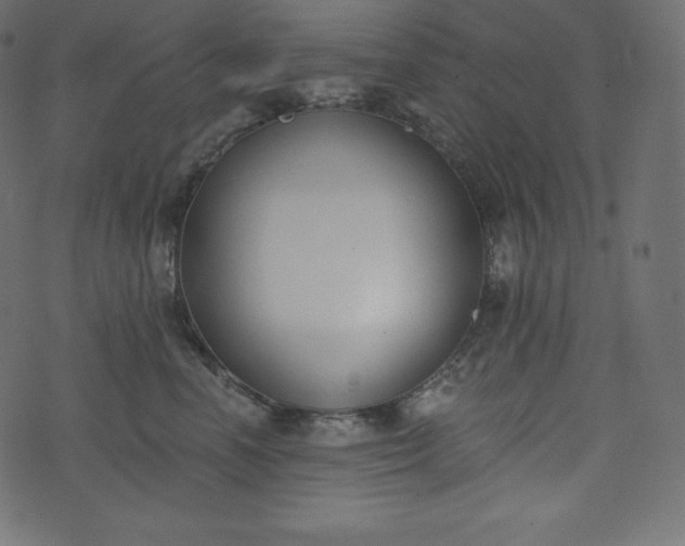 X0000073970666200608281215