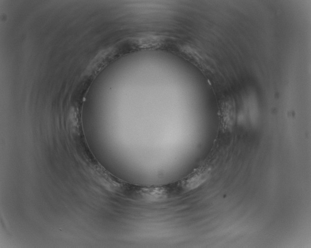 X0000073970667200608281215