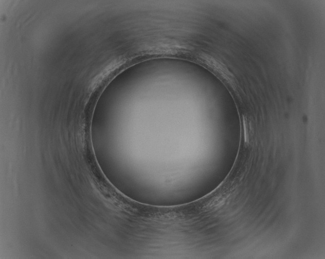 X0000073970675200608281214