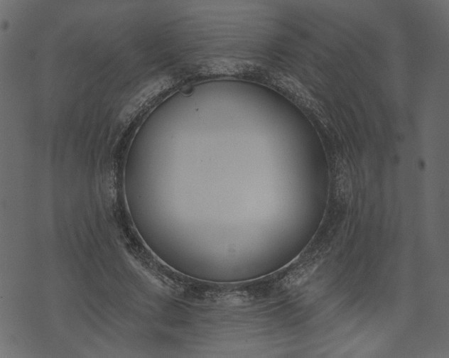 X0000073970683200608281214