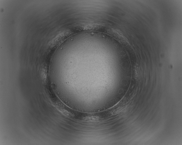 X0000073970691200608281214