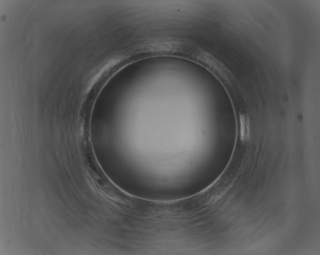 X0000073970723200608281212