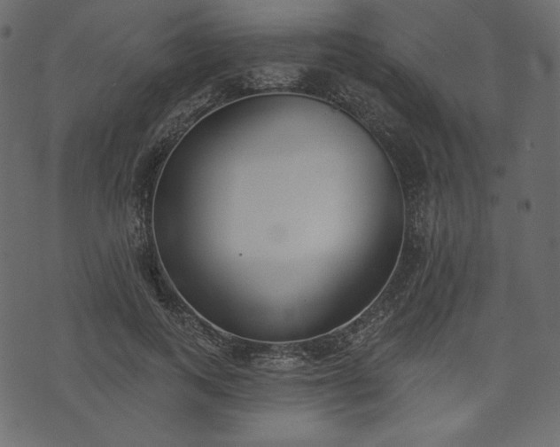 X0000073970743200608281213