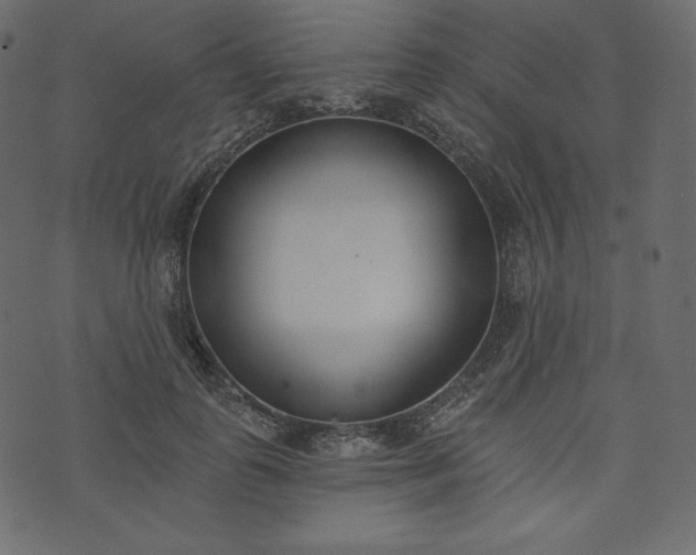 X0000073970747200608281213