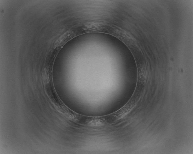 X0000073970751200608281213