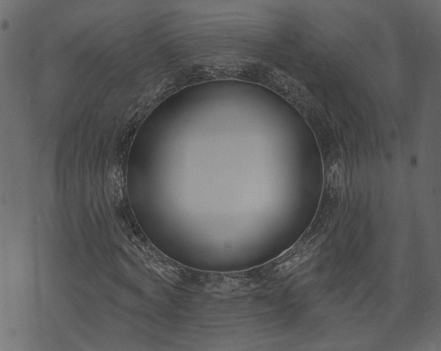 X0000073970772200608281212