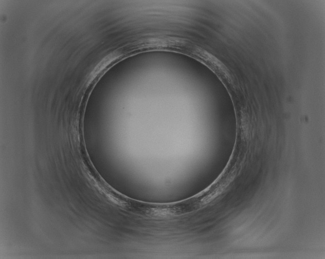 X0000073970794200608281212