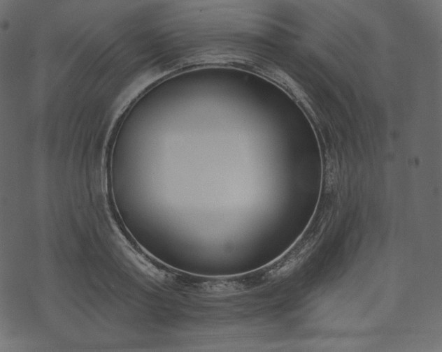 X0000073970795200608281212