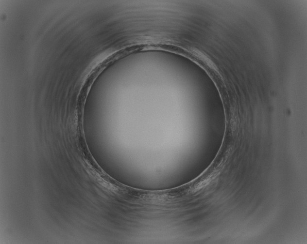 X0000073970831200608281211