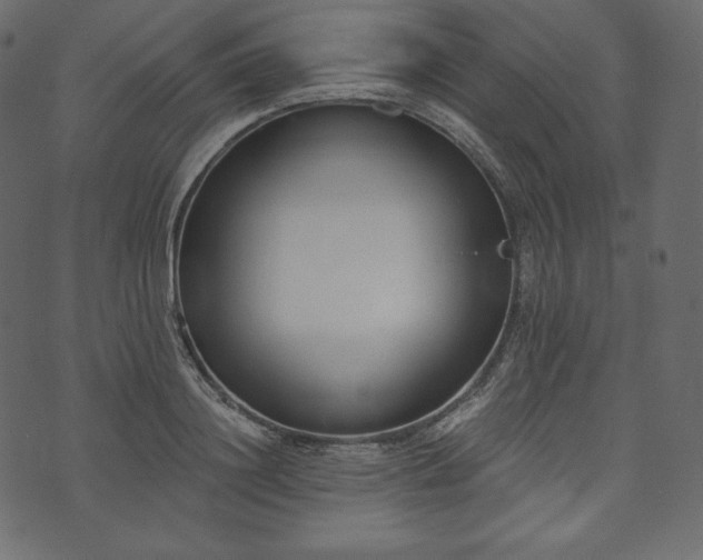 X0000073970844200608281211