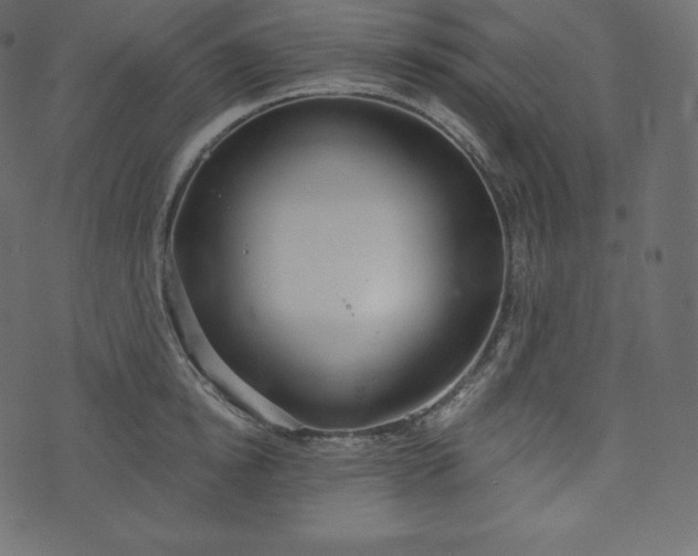 X0000073970854200608281211