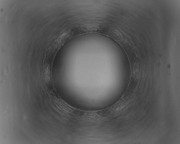 X0000073970866200608281211