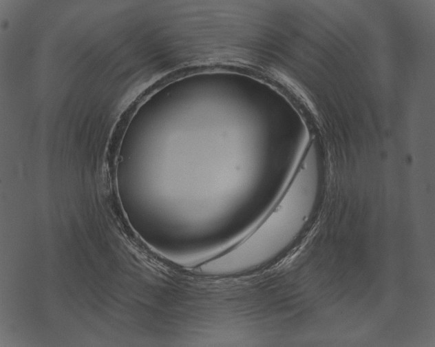 X0000073970876200608281211