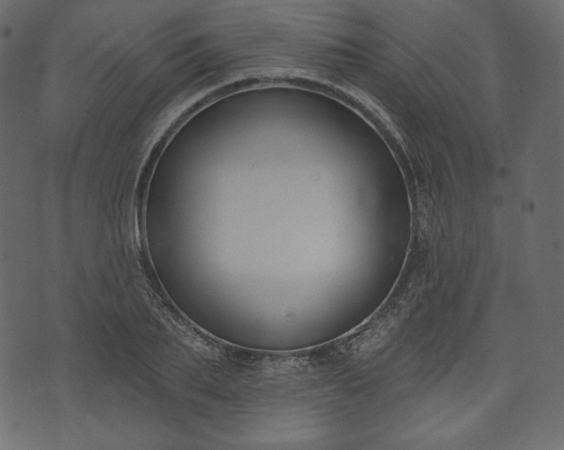 X0000073970887200608281210