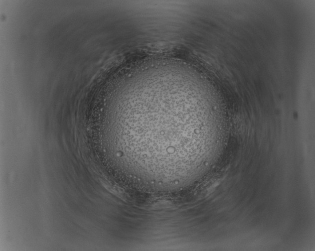 X0000073970913200608281209