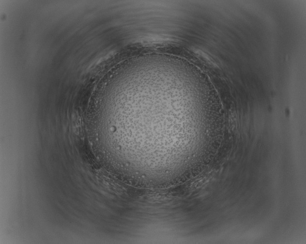X0000073970917200608281209