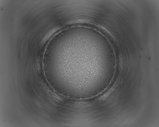 X0000073970921200608281209