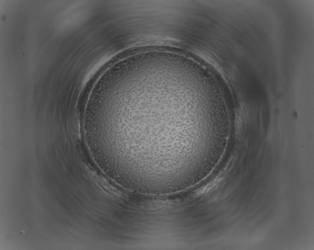 X0000073970925200608281209