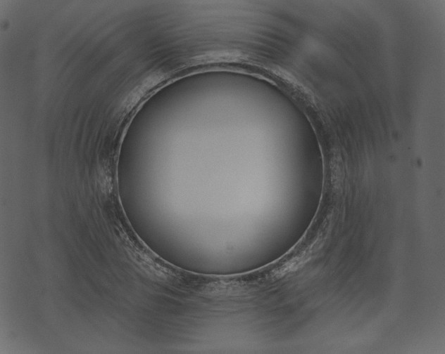 X0000073970929200608281209