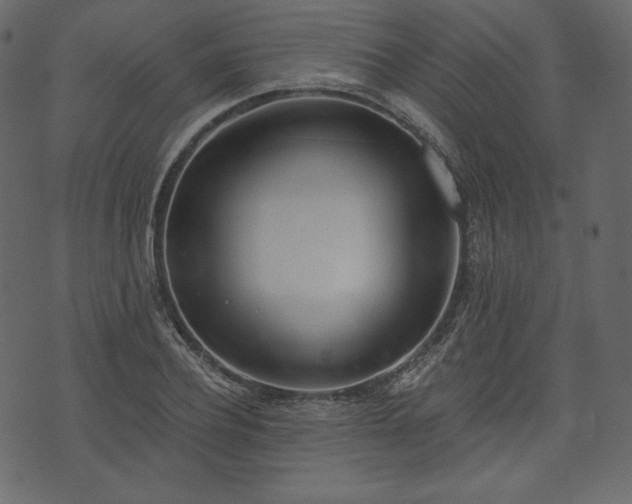 X0000073970932200608281209