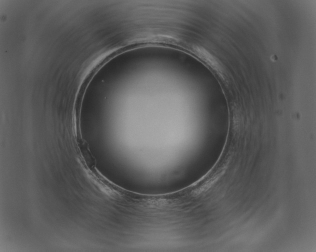 X0000073970940200608281210