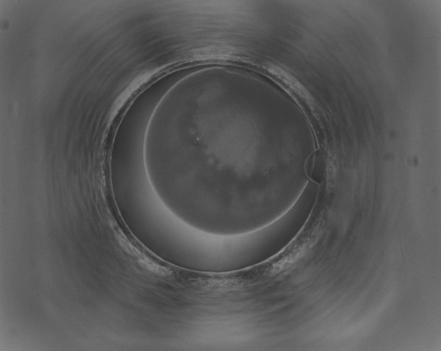 X0000073970941200608281210