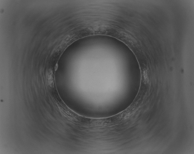 X0000073970963200608281209
