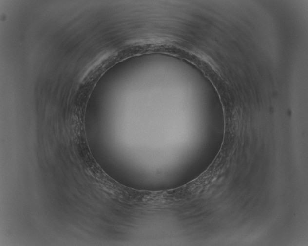 X0000073970967200608281209