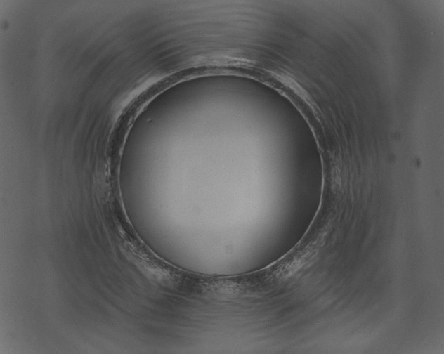 X0000073970971200608281209