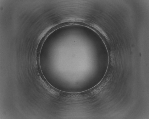 X0000073970972200608281209