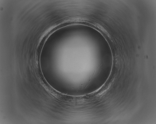 X0000073970981200608281209