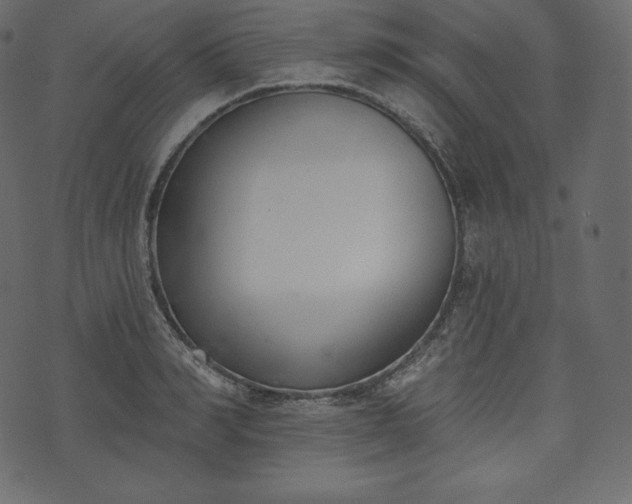 X0000073970990200608281209
