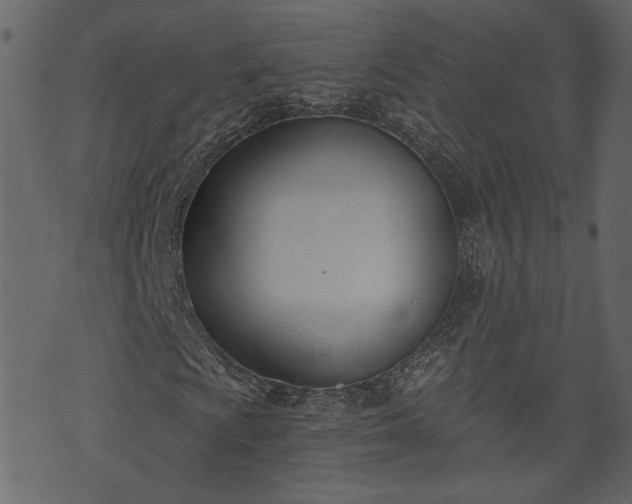 X0000073971009200608281208