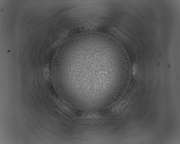 X0000073971011200608281208
