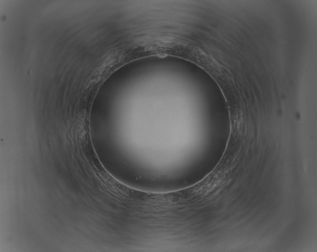 X0000073971012200608281208