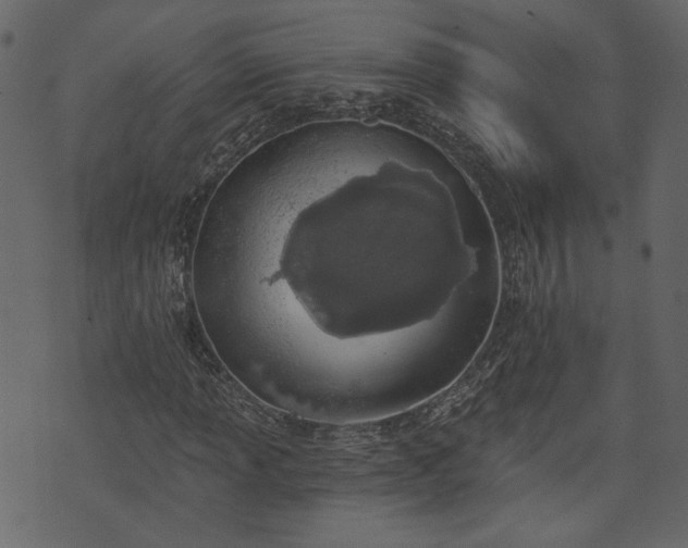 X0000073971013200608281208