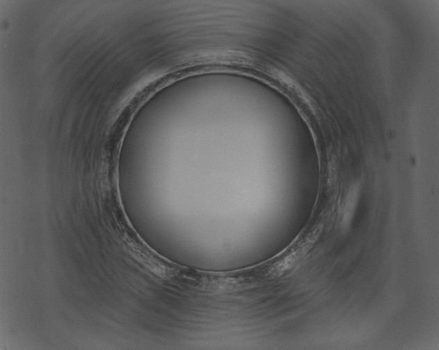 X0000073971019200608281208
